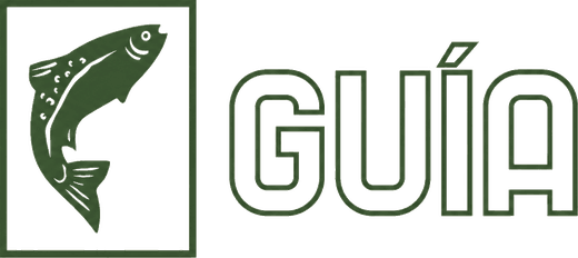 Guía